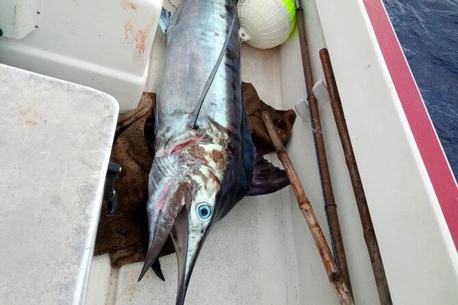 Wholesale Fishing in Poti Marara at Tahiti Teahupoo Peninsula - Teahupoo, mountains, and open Pacific water